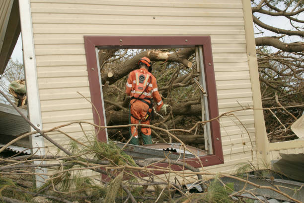 How Our Tree Care Process Works  in  Valentine, NE